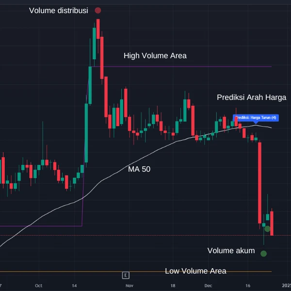 Volatility Insight Pro 1